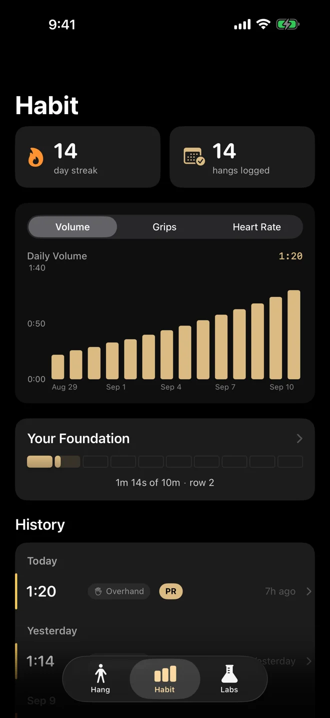 Hang Habit progress screen with sample streak, hang history, and daily volume